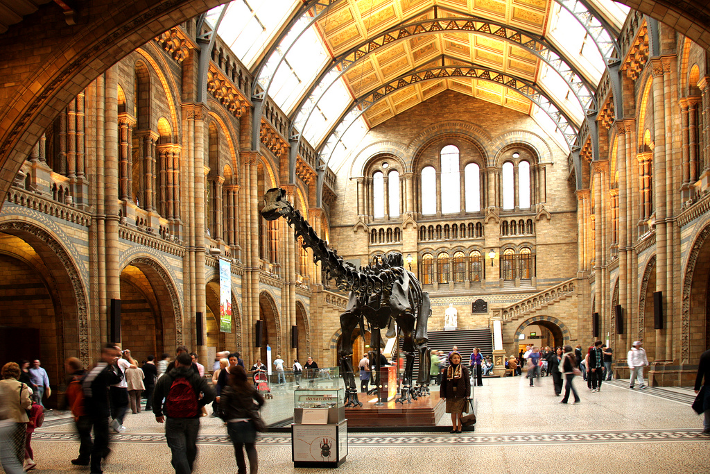 The Natural History Museum 54